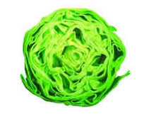 Cabbage